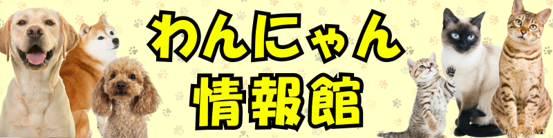 わんにゃん情報館